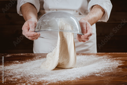 Canvastavla impasto No Knead pizza
