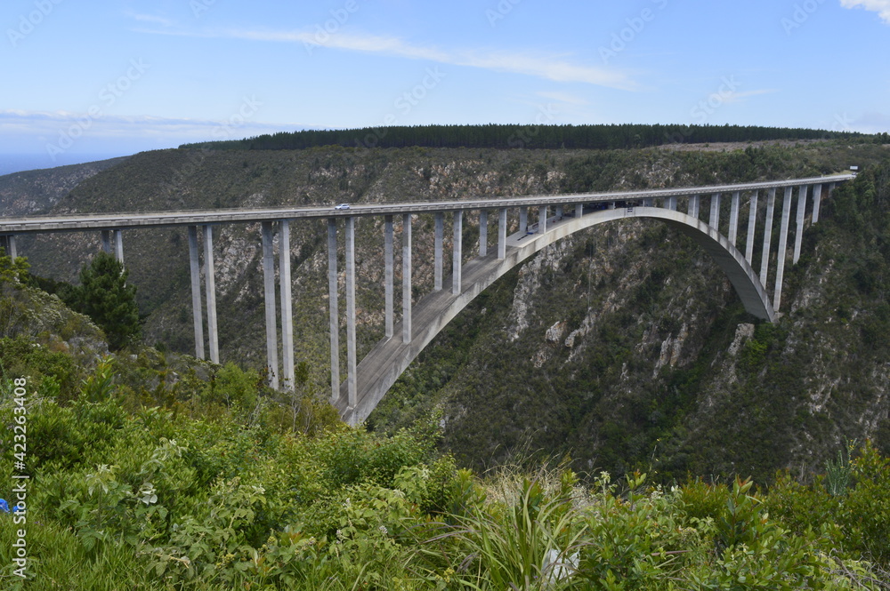 View of Bloukrans Bridge