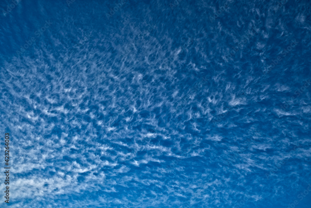 Clean off-white cirrus clouds in blue sky.