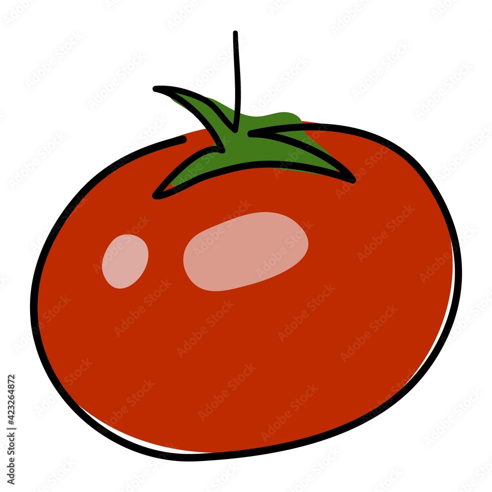Obraz premium The tomato is drawn with a single black line. Doodle style. Under the main line is a red spot with a glare. Linear style. Stock vector illustration. Isolated objects. Simple vector illustration