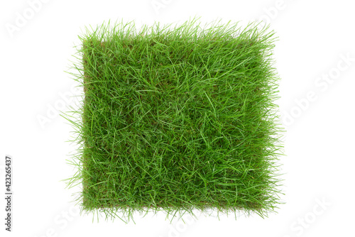 Schilderij op canvas Gras Quadrat Hintergrund - Freigestellt auf weiß