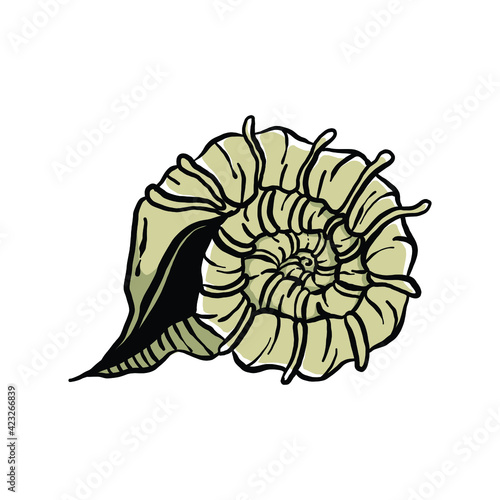 colorful seashell illustration. animated nautical animal in vector graphic for creative design. aquatic object animation isolated on white background.