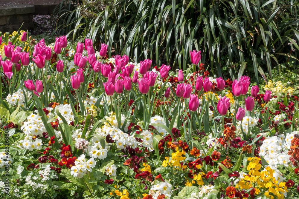 Colourful flowerbed display in East Grinstead