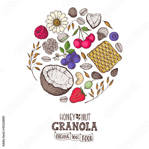 Granola sketch illustration. Breakfast label. Oat flakes , berries, fruits and nuts. Breakfast top view. Morning food menu design. Hand drawn sketch vector illustration.
