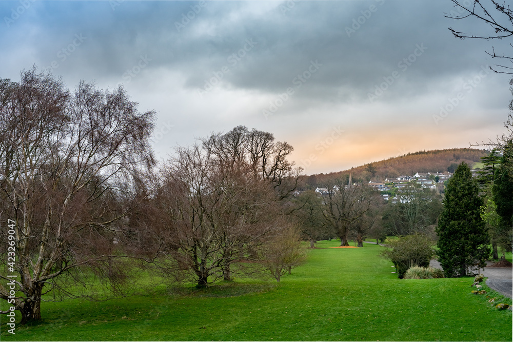 Obraz premium Ireland landscape with trees and town on the hill 
