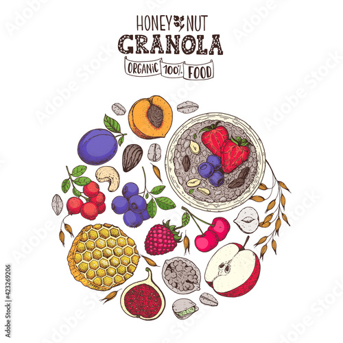 Granola sketch illustration. Breakfast label. Oat flakes , berries, fruits and nuts. Breakfast top view. Morning food menu design. Hand drawn sketch vector illustration.
