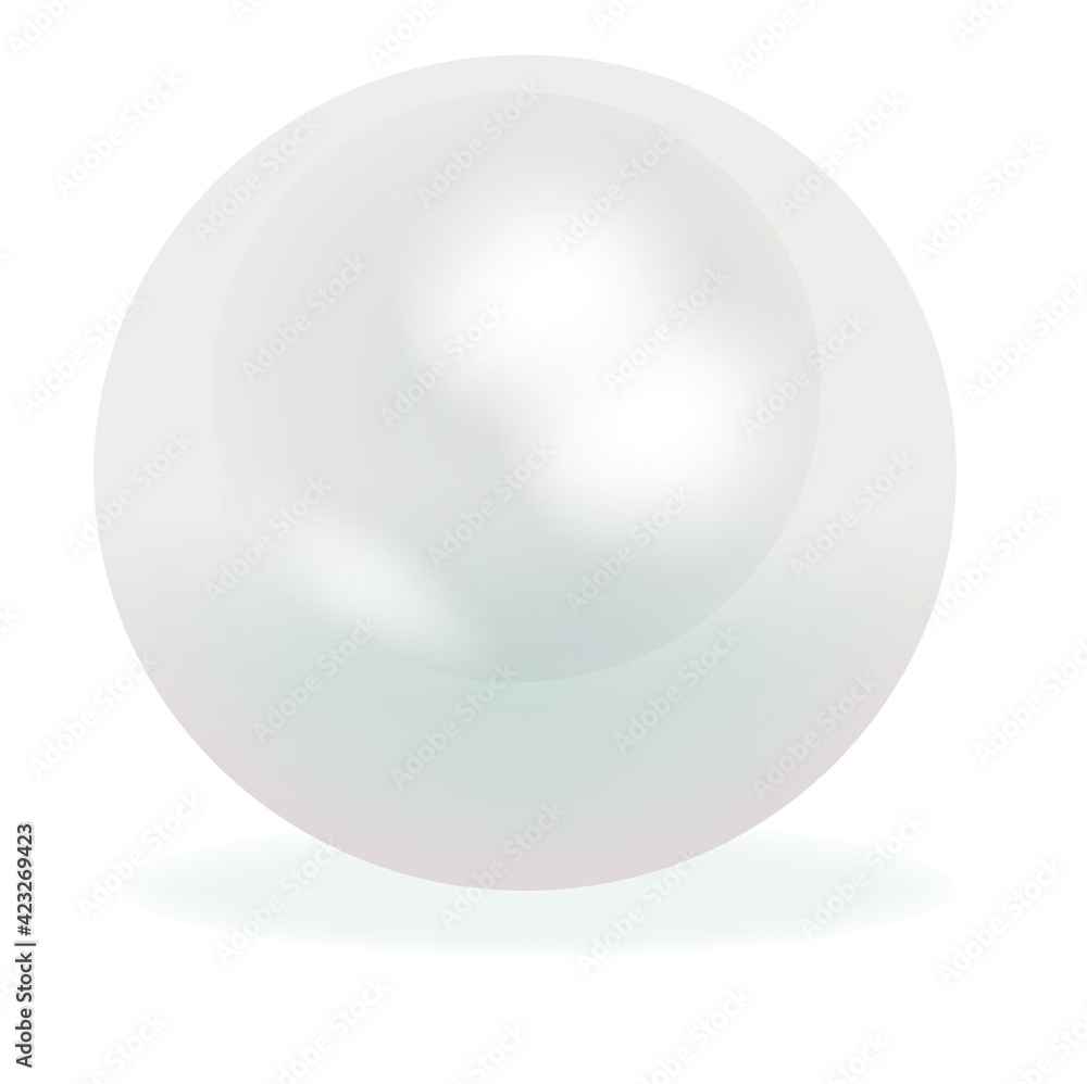 Realistic natural white pearl on background.Oyster pearl for accessories.