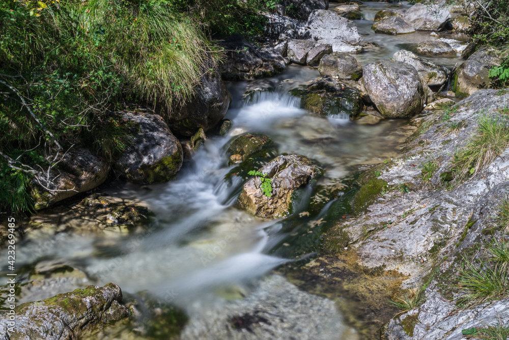 Tiny waterfalls at the Val Vertova torrent Lombardy near Bergamo in Italy Tiny waterfalls at the Val Vertova torrent Lombardy near Bergamo in Italy