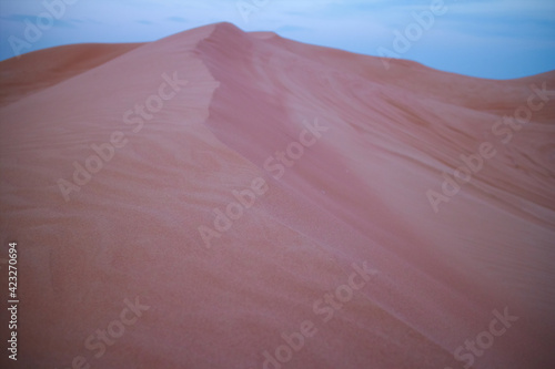 sand texture  desert with sand