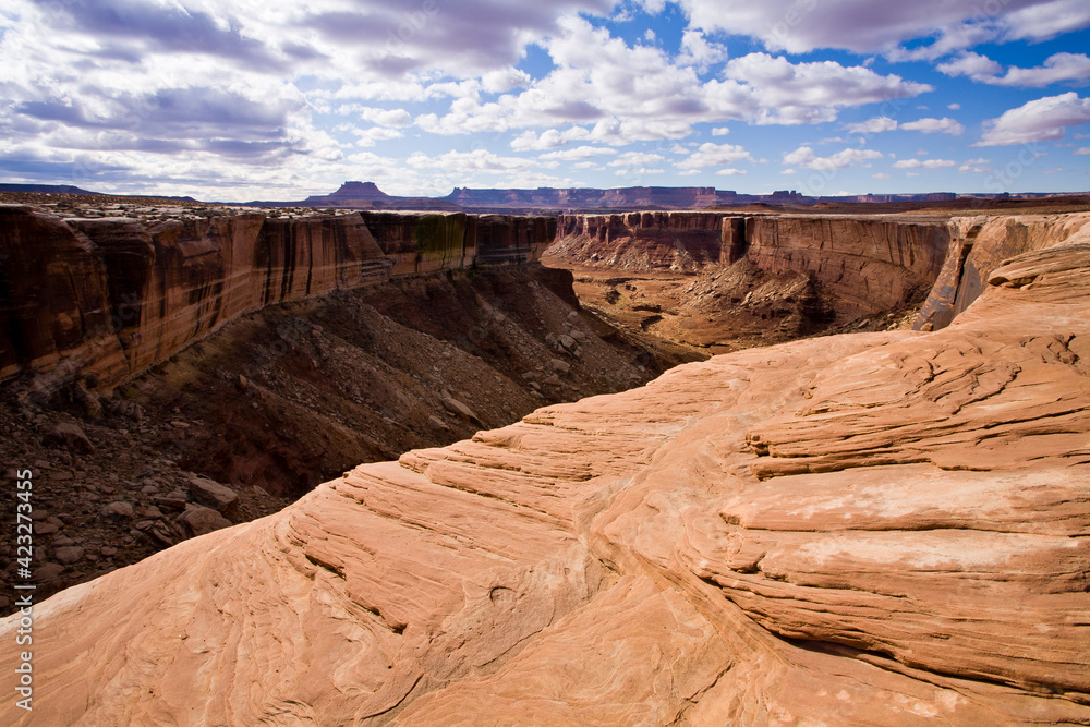 Canyons and mesas as seen from the White Rim Trail in Canyonlands National Park, Utah. Canyons and mesas as seen from the White Rim Trail in Canyonlands National Park, Utah.