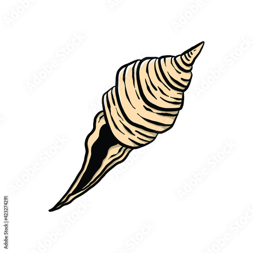 colorful seashell illustration. animated nautical animal in vector graphic for creative design. aquatic object animation isolated on white background.