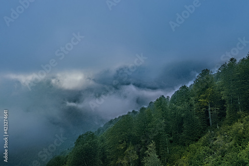 Top view of clouds, clouds in the mountains © Dmitrii
