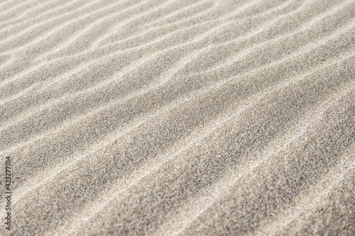 Pattern of sandy waves on beach, desert