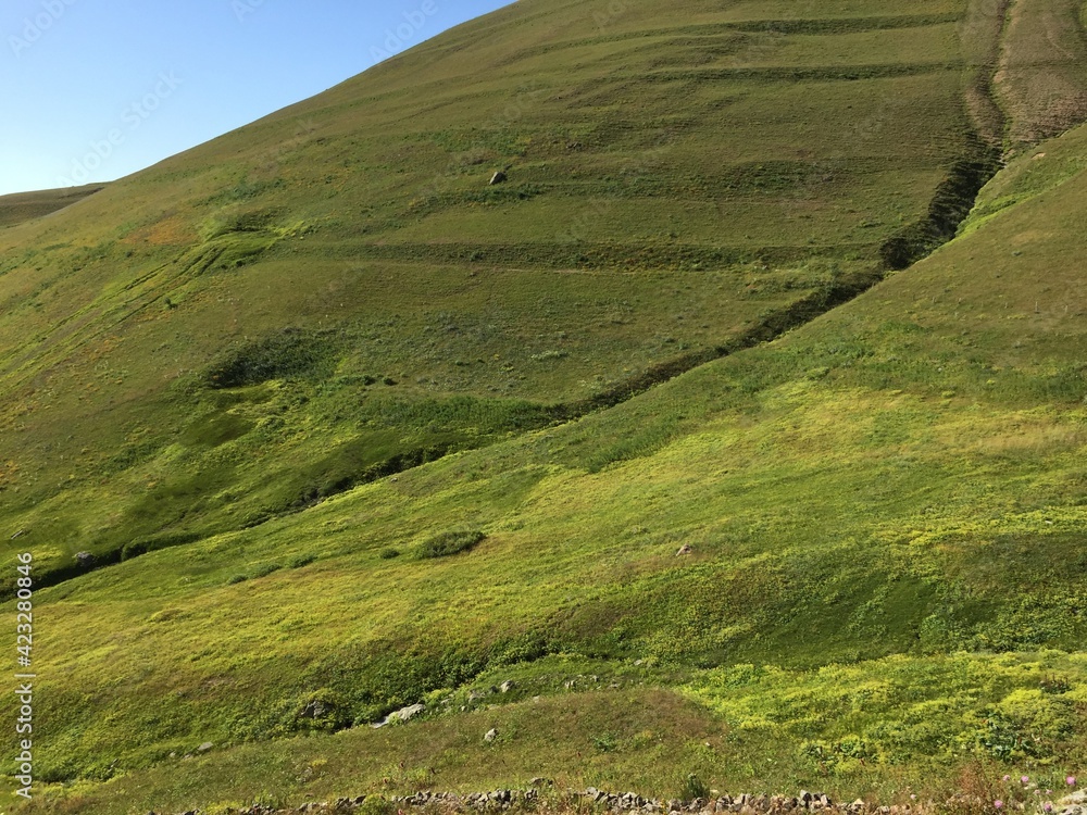 Obraz premium green grass and hills