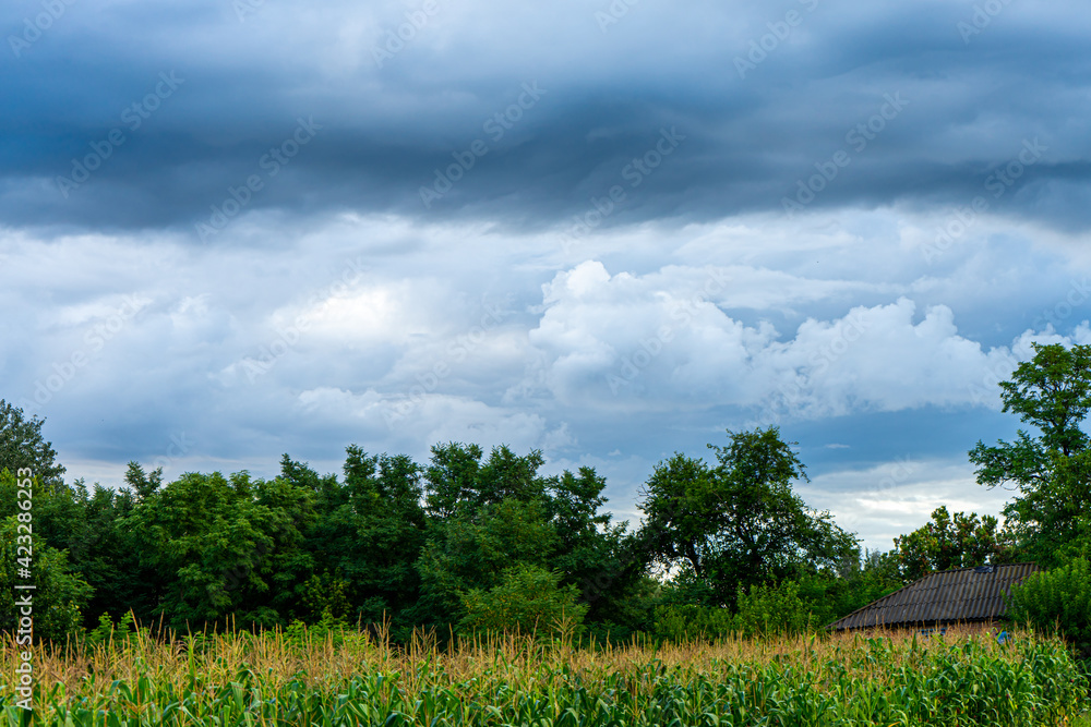 Obraz premium Sky with thunderstorms clouds on sunset