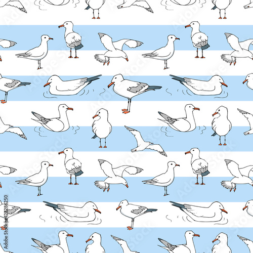 Hand drawn summer seaside seamless pattern. Marine pattern in Cartoon  style. Sketch Gull, seabird, flying seagull .  Cute Doodle vector illustration . Sea, ocean, beach