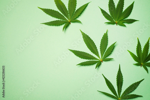 Cannabis leaves flat lay wallpaper. Copy space. Medical marijuana. 420 Celebration
