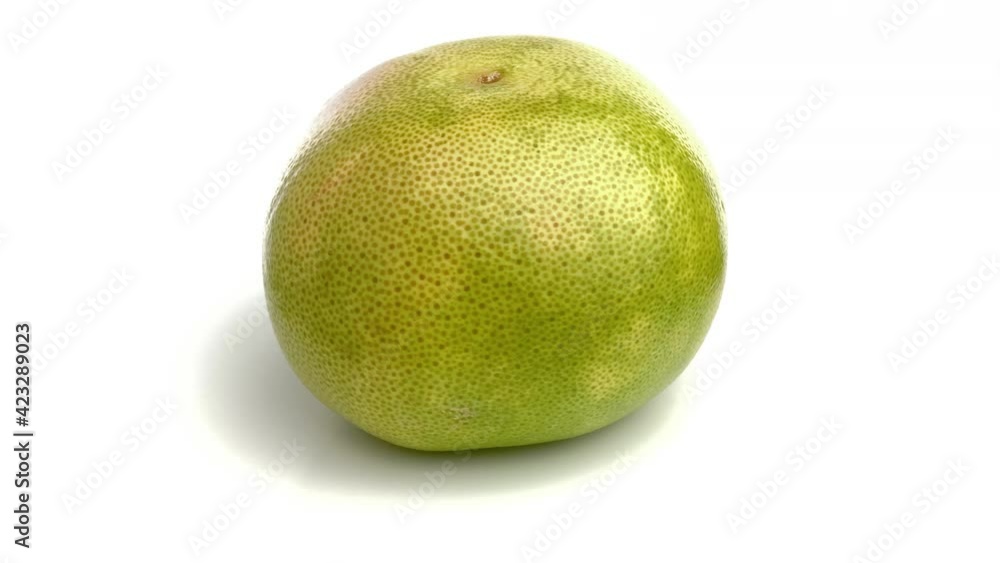 green grapefruit isolated on white background green grapefruit isolated on white background