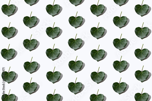 Creative pattern made with fresh deep vivid green leafs on white background. Minimal sunlit natural composition. Bright aesthetic.