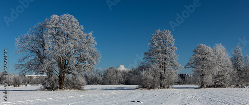 Sachsendorfer Wiesen, Winter, Cottbus, Brandenburg, Germany
