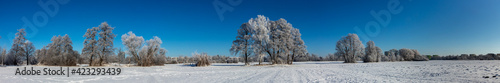 Sachsendorfer Wiesen, Winter, Cottbus, Brandenburg, Germany