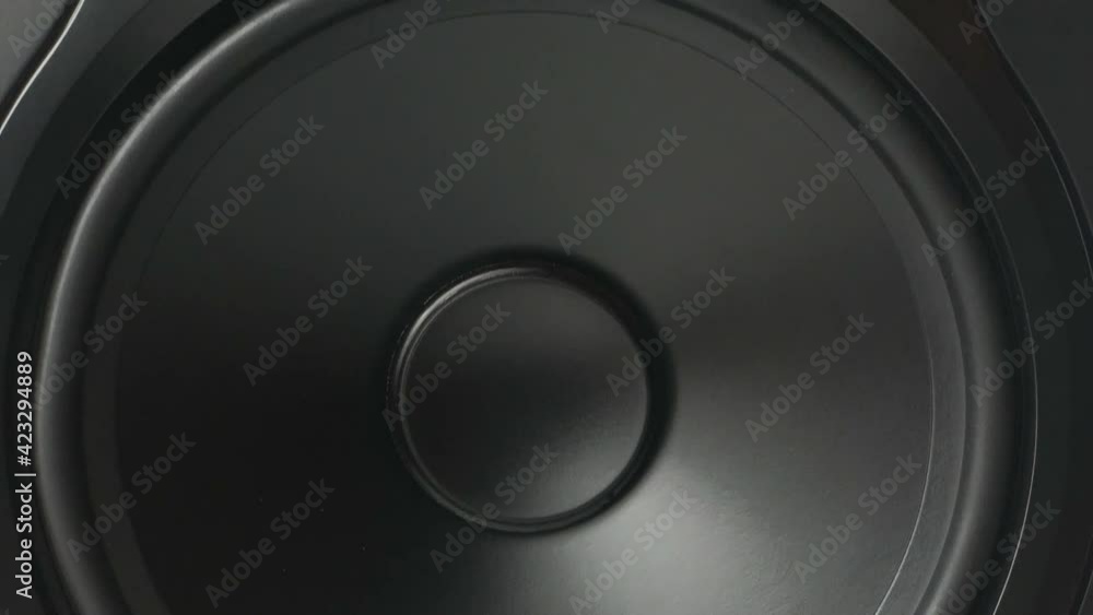 professional audio monitor loudspeaker tweeter closeup professional audio monitor loudspeaker tweeter closeup