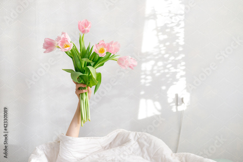 good morning pink tulips in a woman s hand in bed  birthday greetings  international women s day  valentine s day  gift  flowers  pink bouquet  spring tulips  surprise