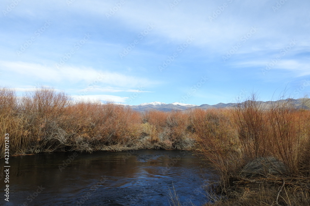 The beautiful scenery of the Owens River in the Owens Valley, Inyo County, California. The beautiful scenery of the Owens River in the Owens Valley, Inyo County, California.
