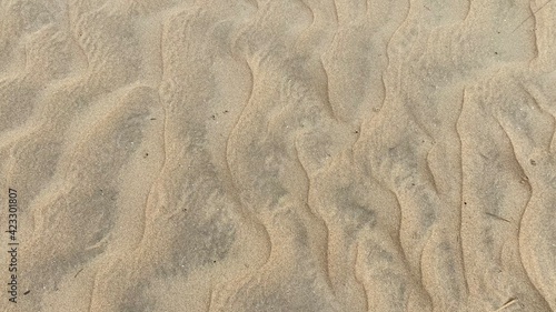 모래 패턴
