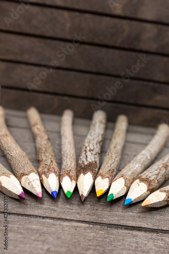 bound crayons made of real, untreated wood, unique and with real tree bark arranged in semicircle on wooden board with different colors
