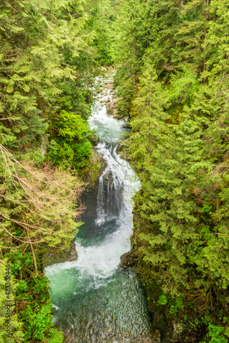 Small mountain creek in Vancouver  Canada.