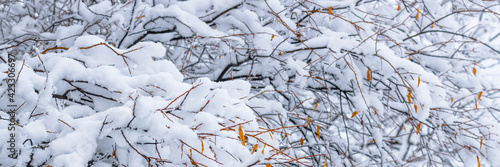 Snow on the branches of trees and bushes after a snowfall. Beautiful winter background with snow-covered trees. Autumn leaves on plants in a forest park. Cold snowy weather. Cool texture of fresh snow