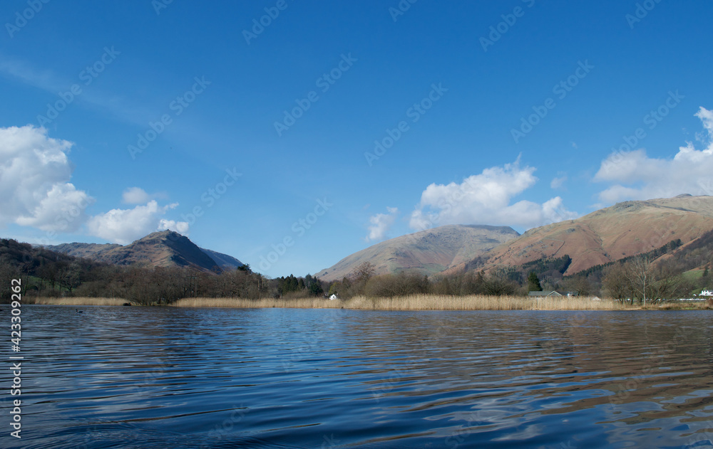 Sunny spring / winter day on a reed fringed lake; mountains beneath blue skies in the background; bare trees and yellow reedbeds on the shore - Lake District, Cumbria, UK