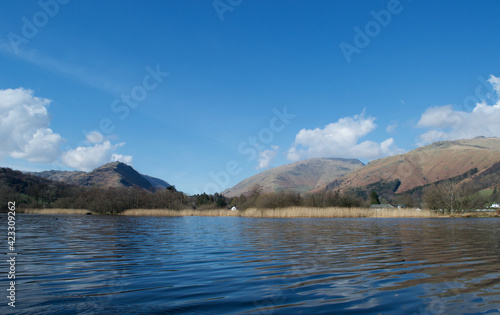 Sunny spring / winter day on a reed fringed lake; mountains beneath blue skies in the background; bare trees and yellow reedbeds on the shore - Lake District, Cumbria, UK