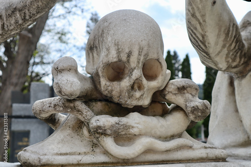 Skull crossbones