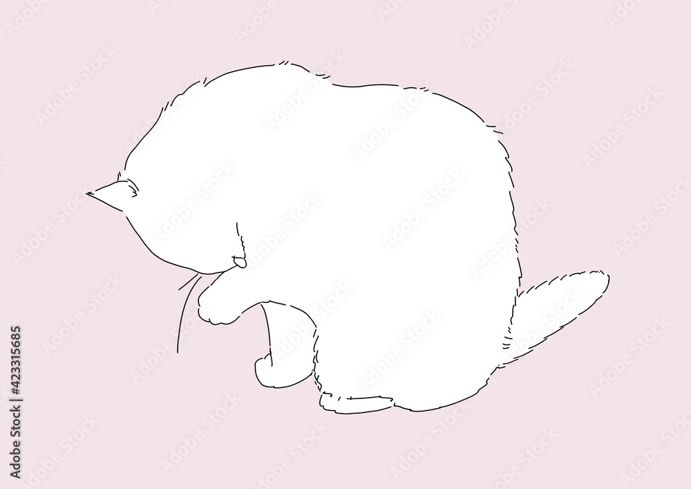 猫 猫