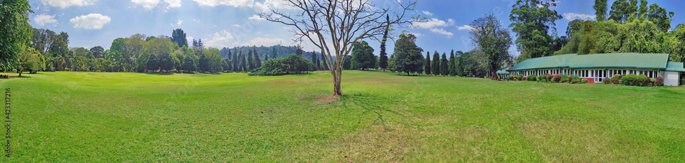 Royal Botanical Gardens Peradeniya Sri Lanka