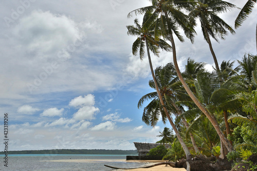 Coastline with palm trees and traditional canoe house in Yap, Micronesia.