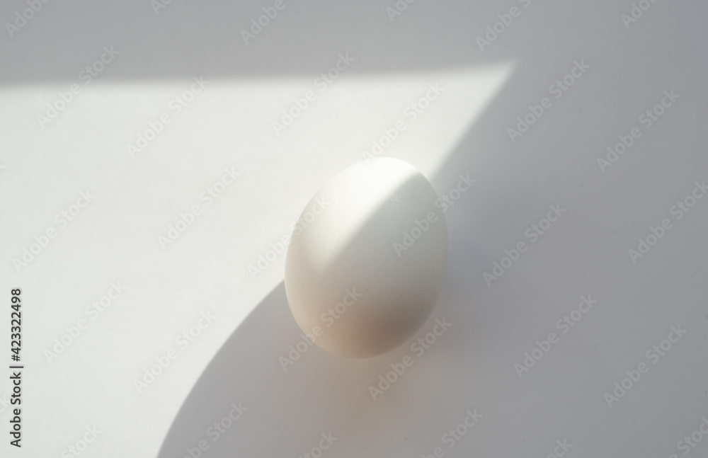 White egg on white background with shadow White egg on white background with shadow