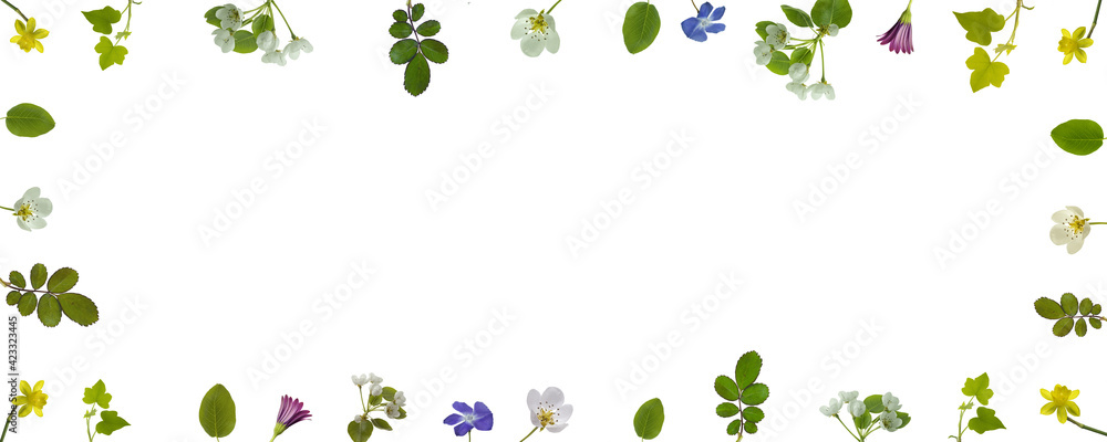 composizione di fiori e foglie su sfondo bianco composizione di fiori e foglie su sfondo bianco