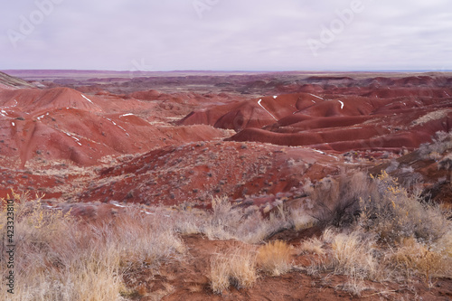 vistas from the painted desert area