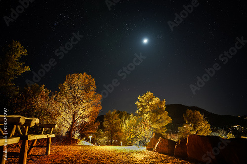 night scene of hills and trees and pretty lighting