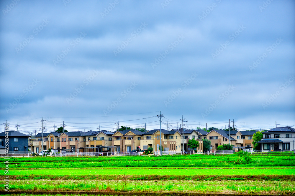 田んぼと住宅地