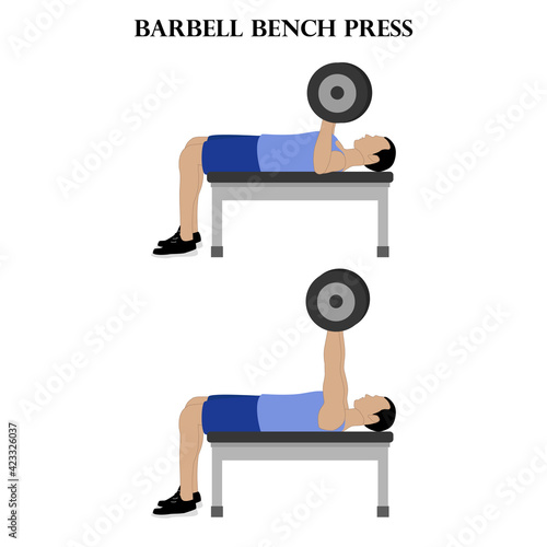 Barbell bench press exercise strength workout vector illustration