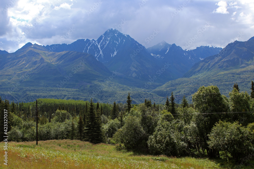 Alaskan landscape along the side of a road Alaskan landscape along the side of a road