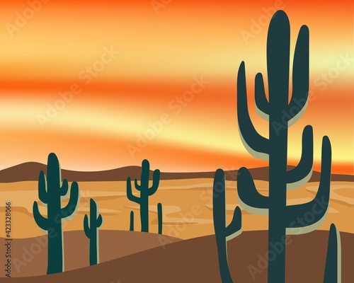 Desert and cactus landscape with sunset
