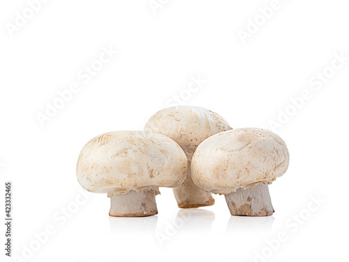 fresh wihte mushroom isolated on white