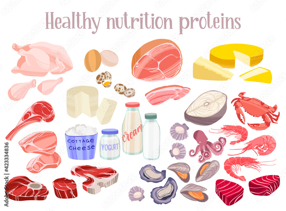 Healthy proteins products. Diet food concept. Meat, chicken, fish and seafood, eggs, dairy products.