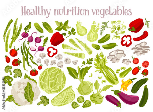 Diet food concept. Low carbs vegetables. Cabbage, tomatoes, peppers, sprouts and shoots, mushrooms and other.