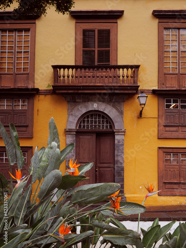 Traditional spanish house facade with tropical plants